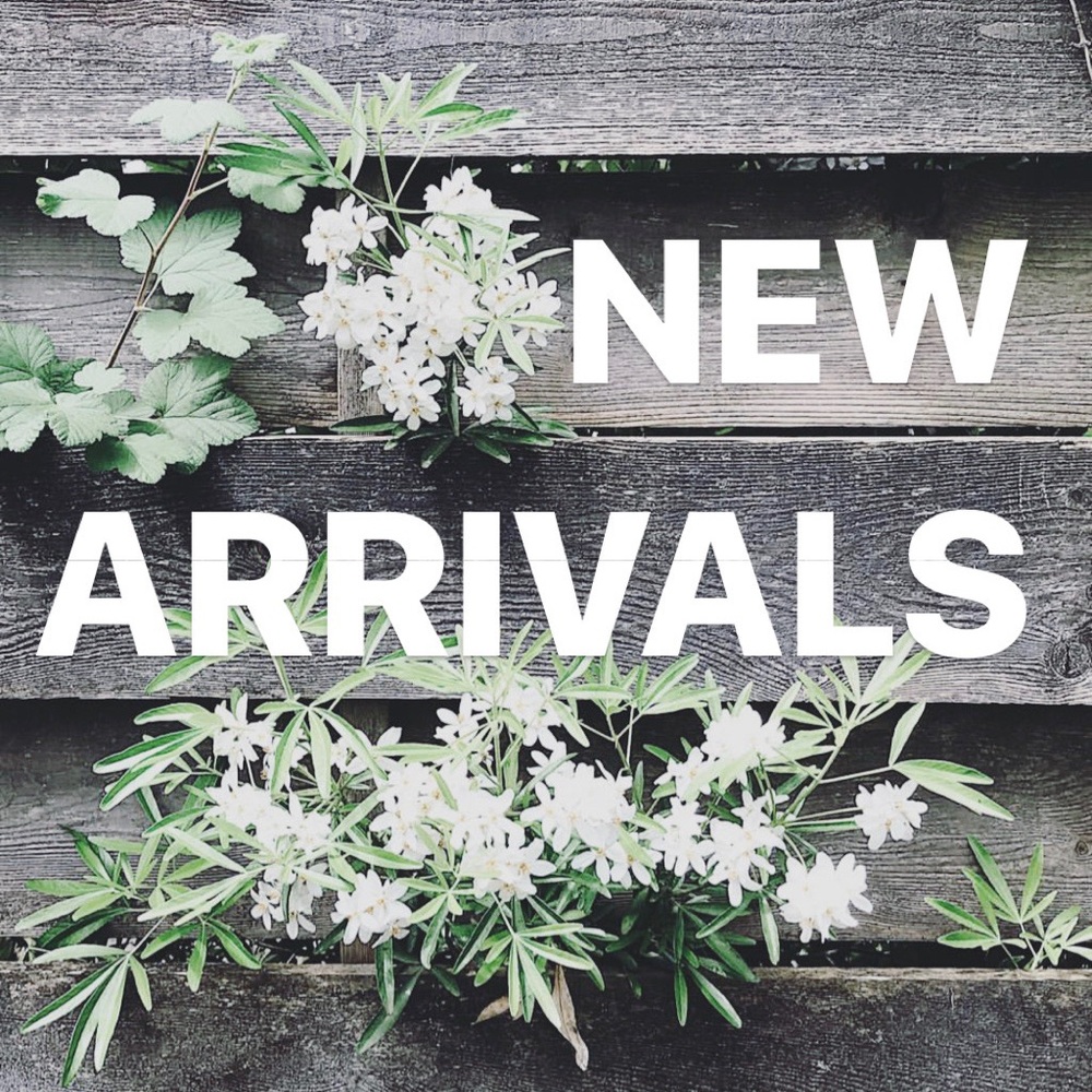 NEW LISTINGS!